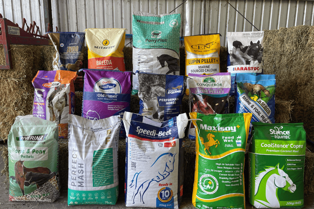Equine food
